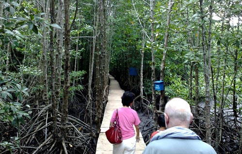 Peam Krasop Wildlife Sanctuary