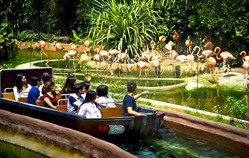 River Safari Singapore